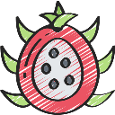 Organice Fresh Dragon Fruit